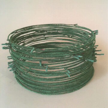 Carlos Roberto Franco - Wandlung